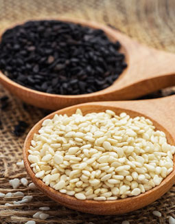 Oil Seeds